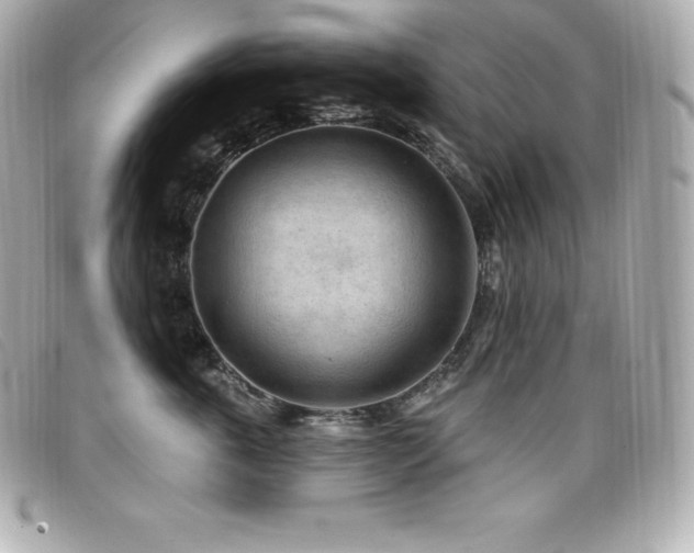X0000099480763200805091608