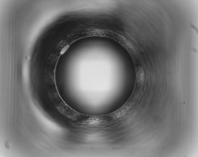 X0000099480764200805091608