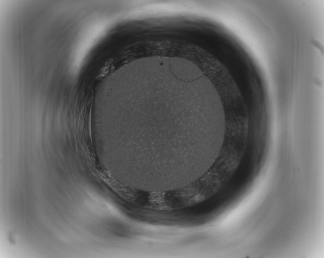 X0000099480766200805091608