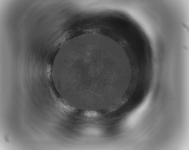 X0000099480767200805091608