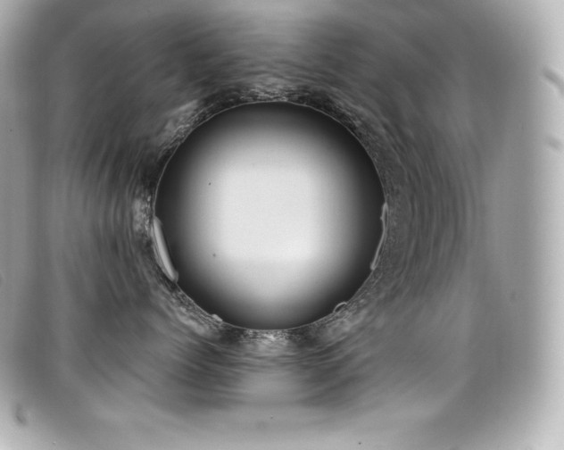 X0000099480768200805091608