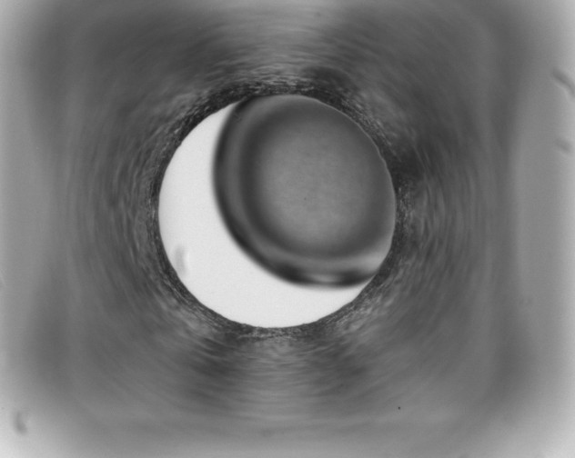 X0000099480769200805091608