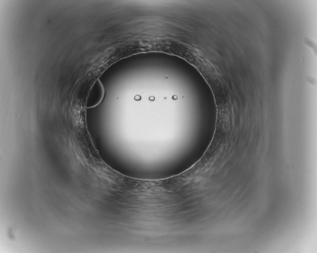 X0000099480770200805091608