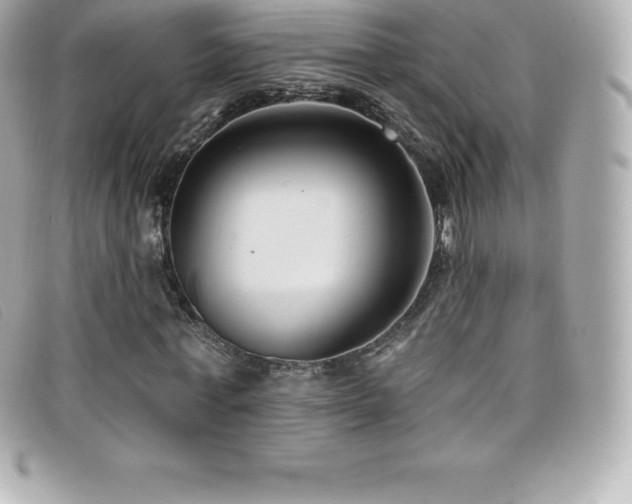 X0000099480771200805091608