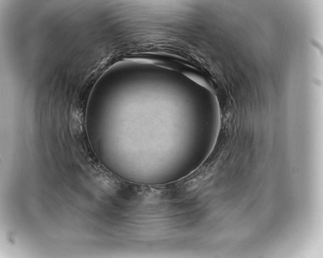 X0000099480772200805091608