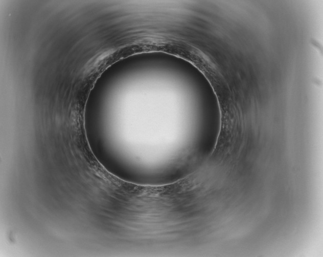 X0000099480773200805091608