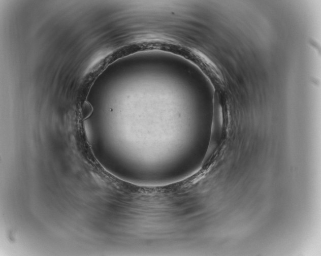 X0000099480775200805091608