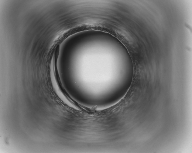X0000099480776200805091608
