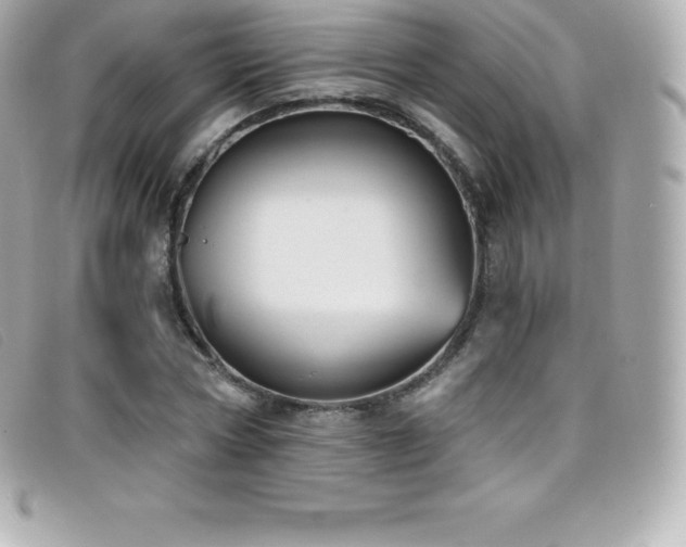 X0000099480778200805091608