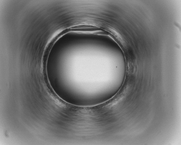 X0000099480780200805091608