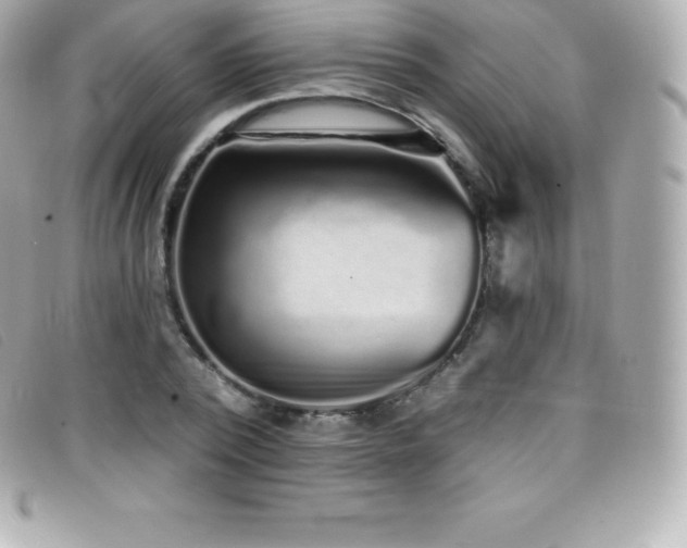 X0000099480784200805091608