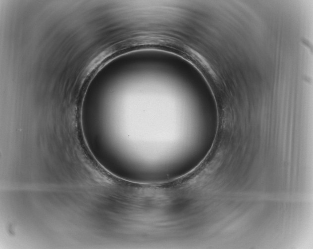 X0000099480786200805091608