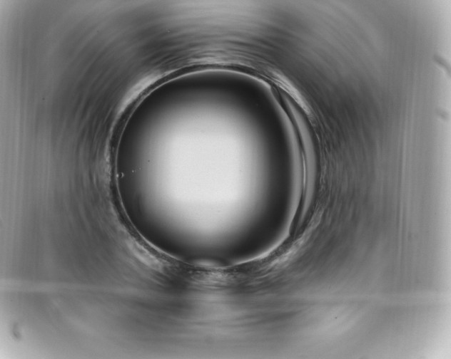 X0000099480787200805091608