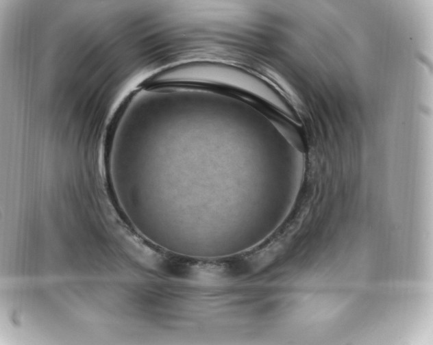 X0000099480788200805091608