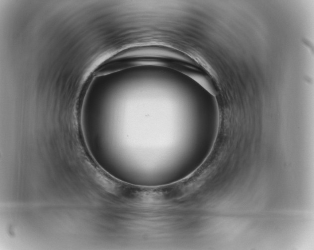 X0000099480789200805091608