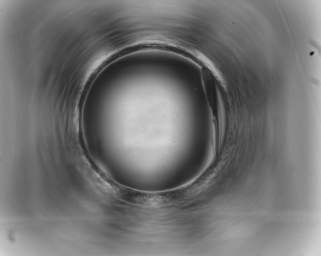 X0000099480791200805091608