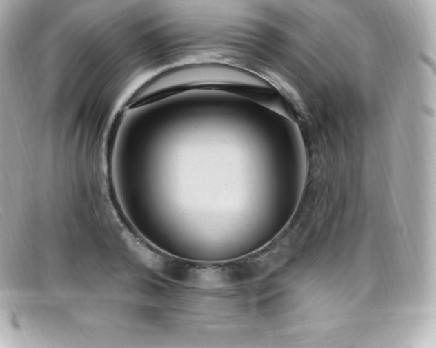 X0000099480792200805091607