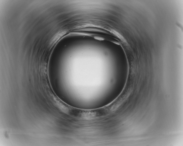 X0000099480793200805091607