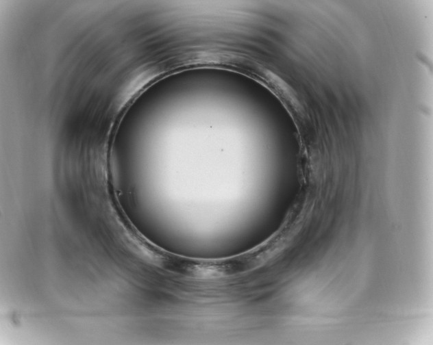 X0000099480794200805091607