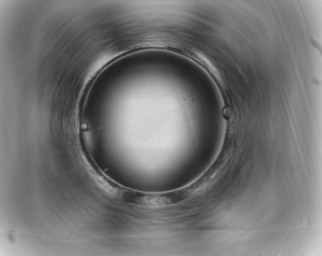 X0000099480795200805091607