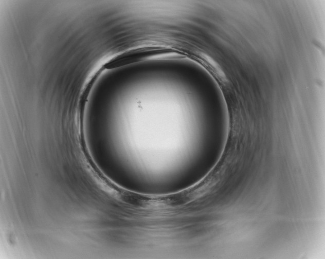 X0000099480796200805091607