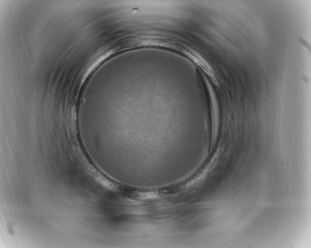 X0000099480798200805091607