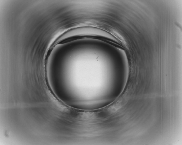 X0000099480800200805091607