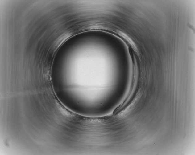 X0000099480801200805091607