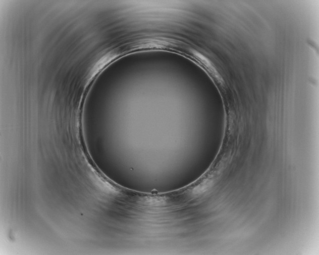 X0000099480802200805091607