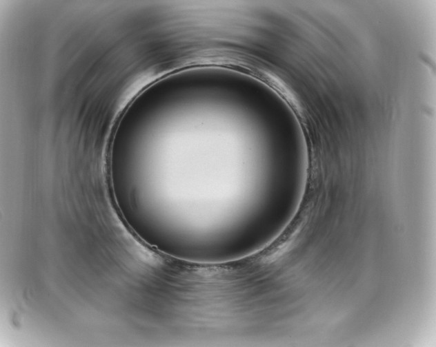 X0000099480803200805091607