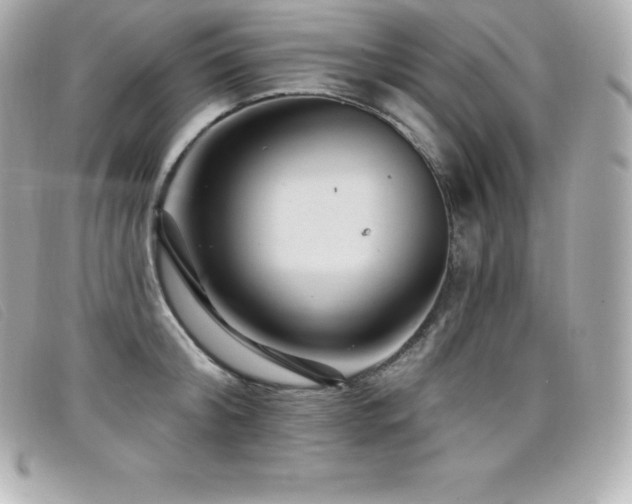 X0000099480804200805091607