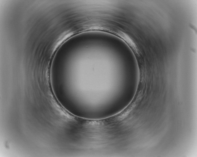 X0000099480806200805091607