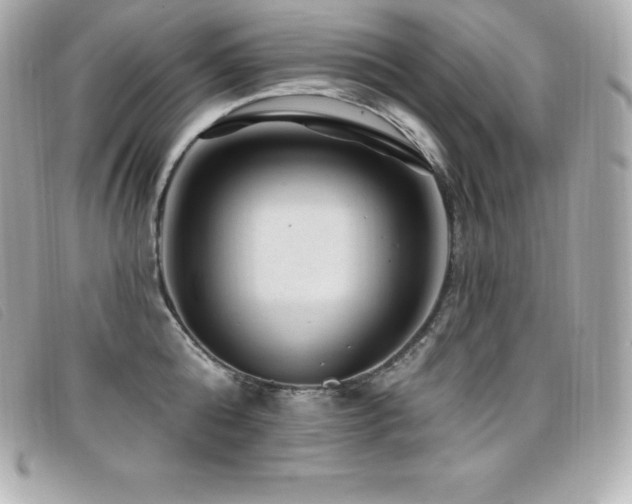 X0000099480808200805091607