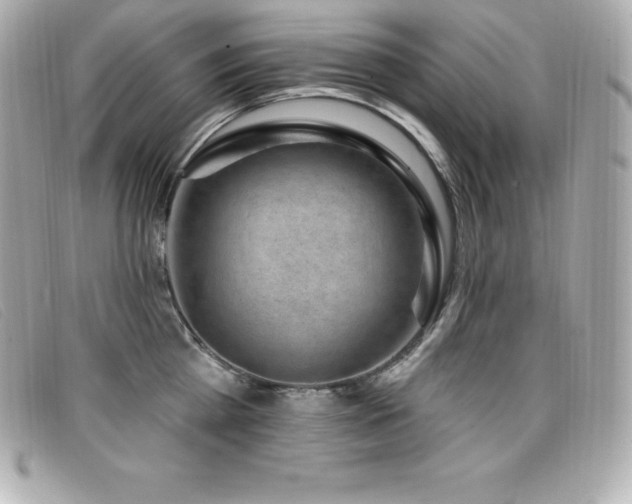 X0000099480809200805091607