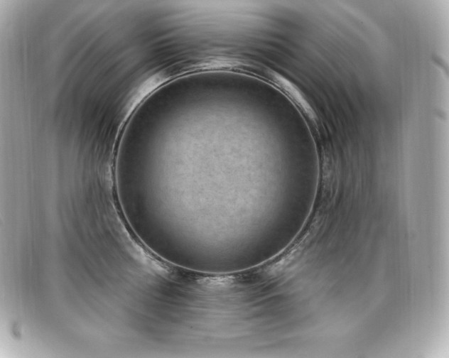 X0000099480810200805091607