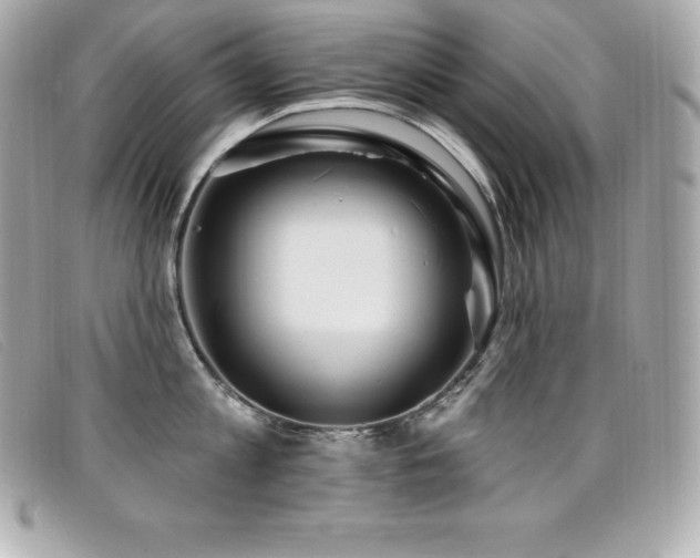 X0000099480813200805091607