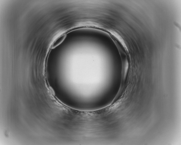 X0000099480815200805091607