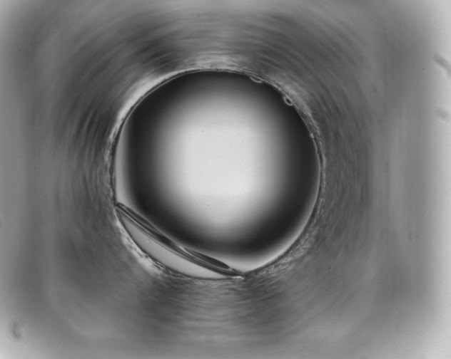 X0000099480816200805091607