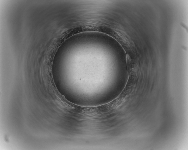 X0000099480817200805091607