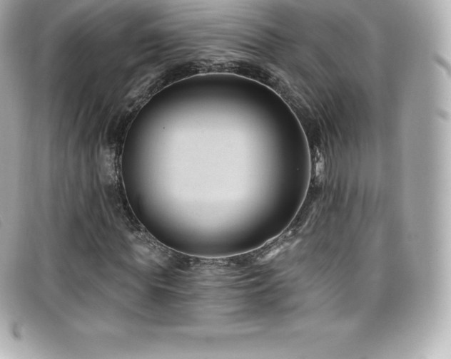 X0000099480819200805091607