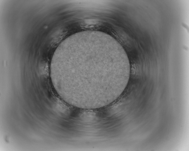 X0000099480820200805091607