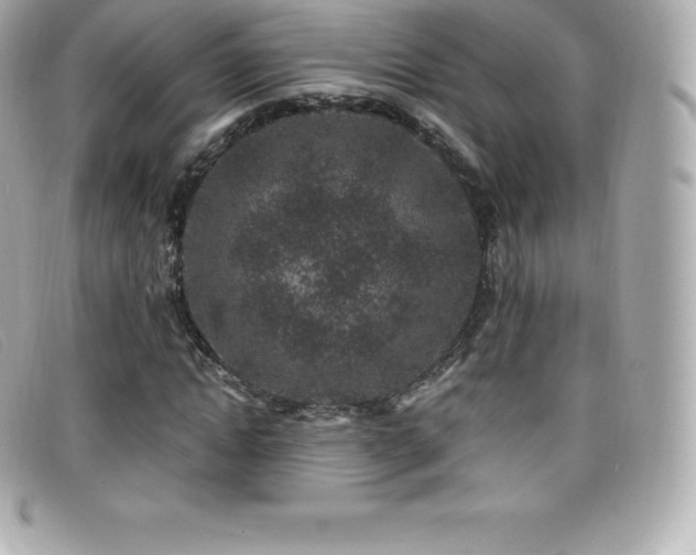 X0000099480822200805091607