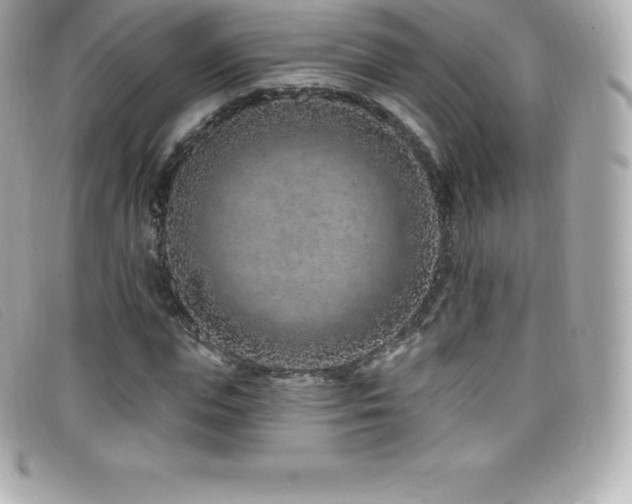X0000099480823200805091607