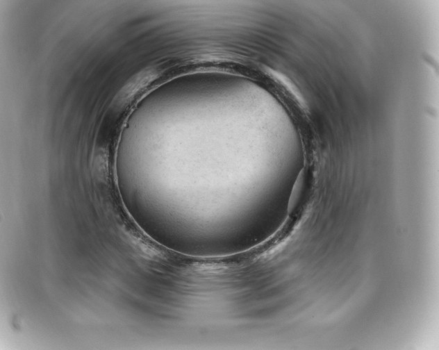 X0000099480825200805091607