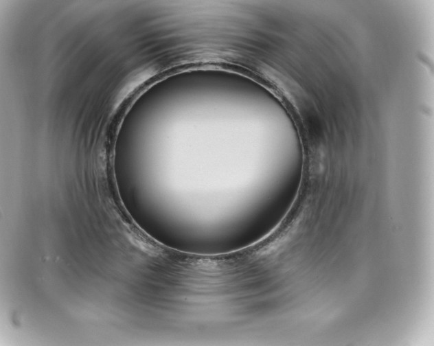 X0000099480827200805091607