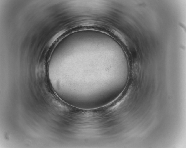 X0000099480829200805091607