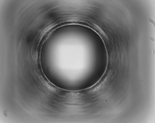 X0000099480831200805091607