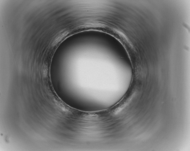 X0000099480833200805091607