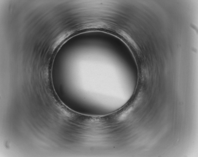 X0000099480834200805091607