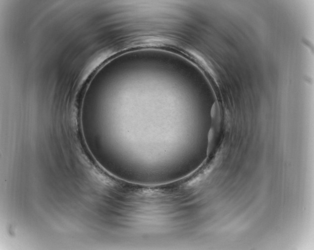 X0000099480835200805091607